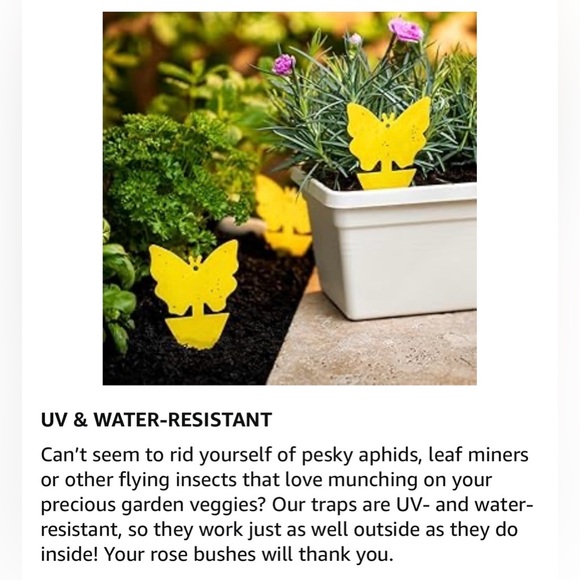 $2 Add-On 🆕Flying Insects Trap 3-Pack - Picture 7 of 16